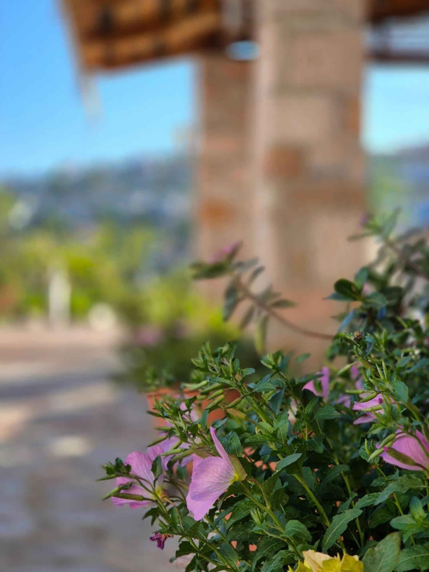 Villa Josana Sarandë エクステリア 写真