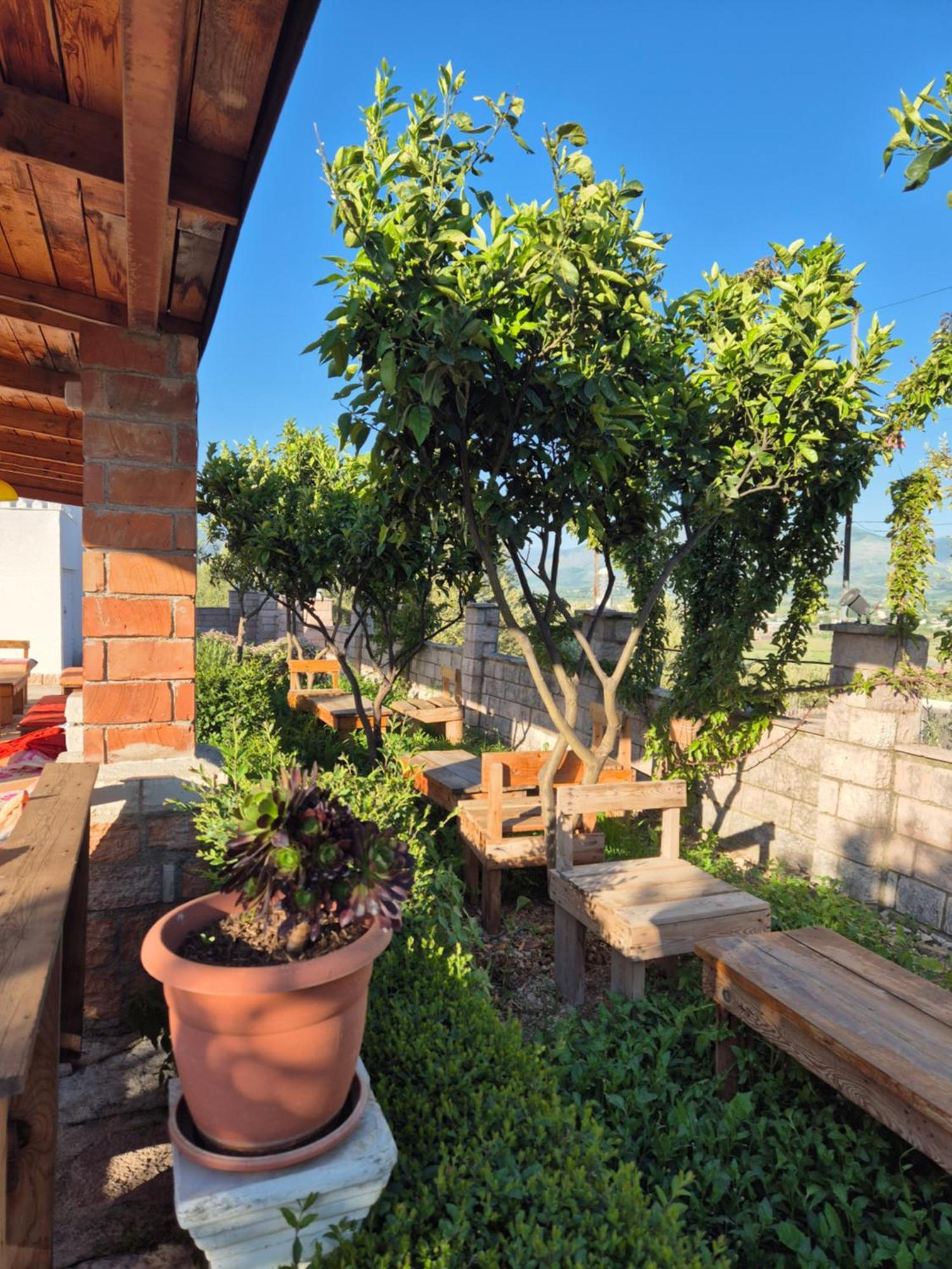 Villa Josana Sarandë エクステリア 写真