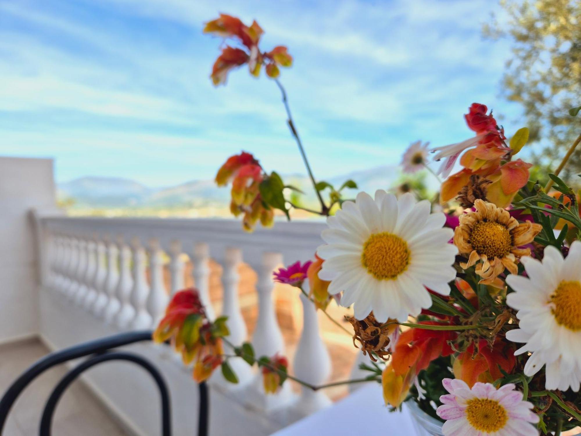 Villa Josana Sarandë エクステリア 写真