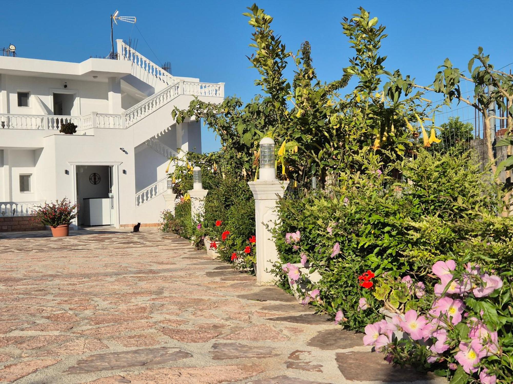 Villa Josana Sarandë エクステリア 写真